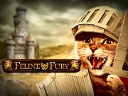 Feline Fury